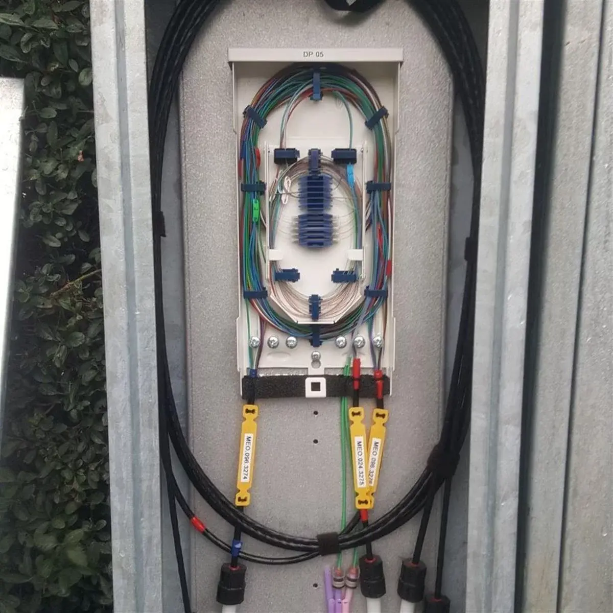 Wi 180924093620Cdaeb9ba4a4e7dbf342d4b596488f5 1200